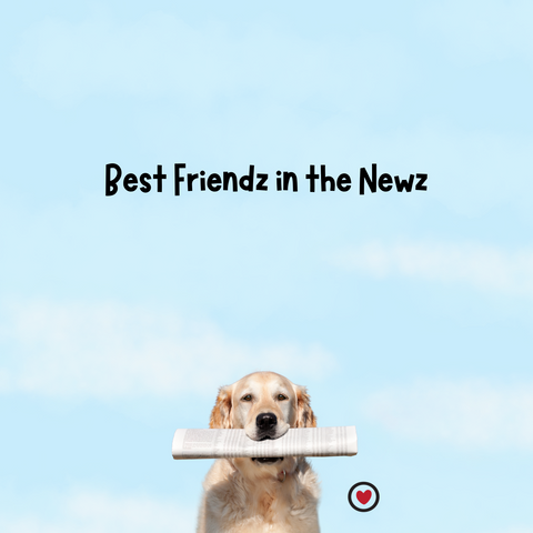 Best Friendz in the News