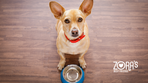 Puppy Training 101: Healthy Treats for Rewarding Good Behavior