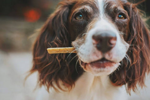 What Does "Human-Grade" Mean for Pet Treats?