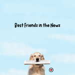 Best Friendz in the News