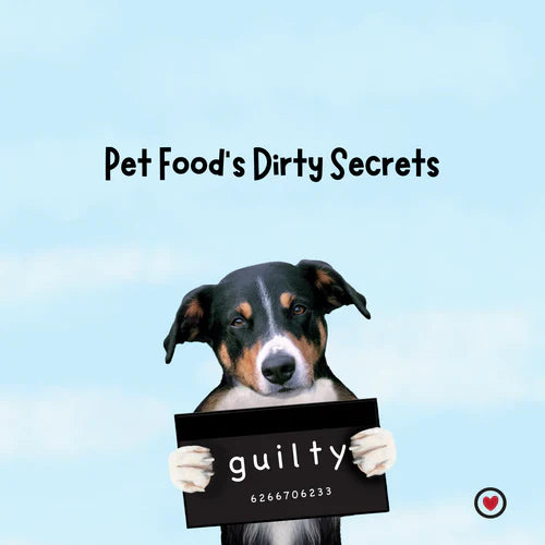 The Dirty Secret of How Some Pet Treats Are Made