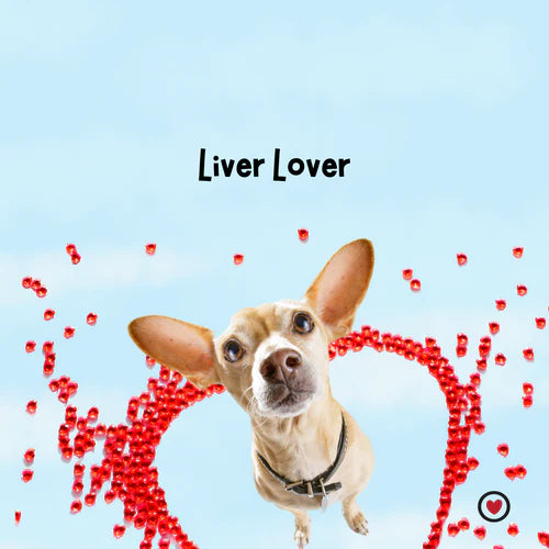 In the Name of Love and Liver: Why Dogs Adore Beef Liver Treats