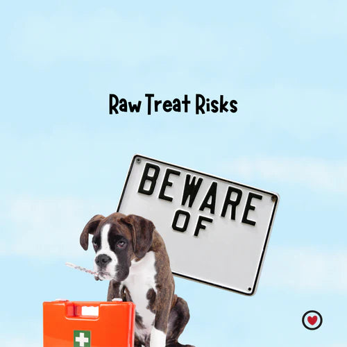 Are Raw Treats Good for Dogs? Navigating the Risks of Raw Pet Food Diets and the Alternatives