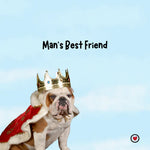 Unearthing History: Frederick II of Prussia and the Origins of "Man's Best Friend"