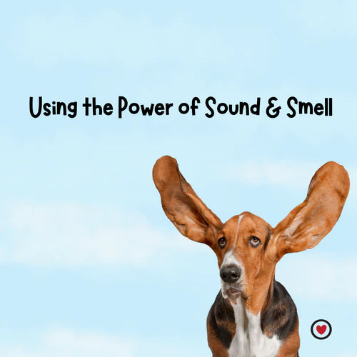 Use the Power of Sound and Smell to Build Good Behavior and Strong Bonds