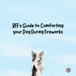 BFF Guide to Comforting Dog During Fireworks