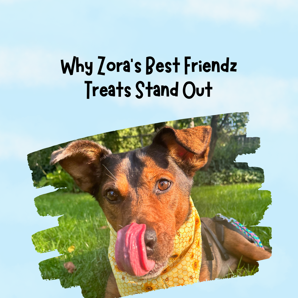 Why Zora's Best Friendz Treats Stand Out: A Comprehensive Review