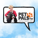 Pet Pals TV Shares Choice Words About Zora's Best Friendz