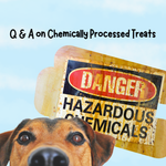 Q & A on Chemically Processed Treats