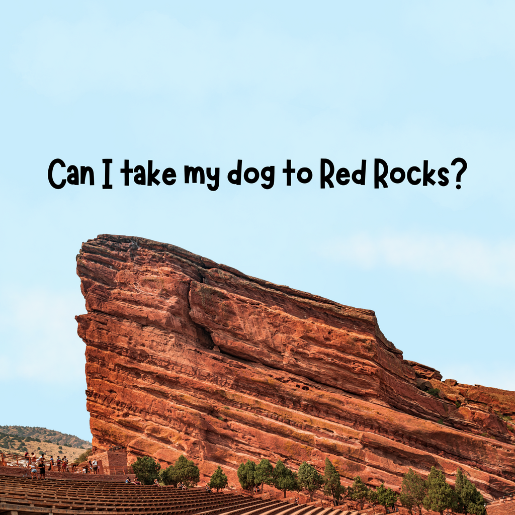 are dogs allowed at red rocks