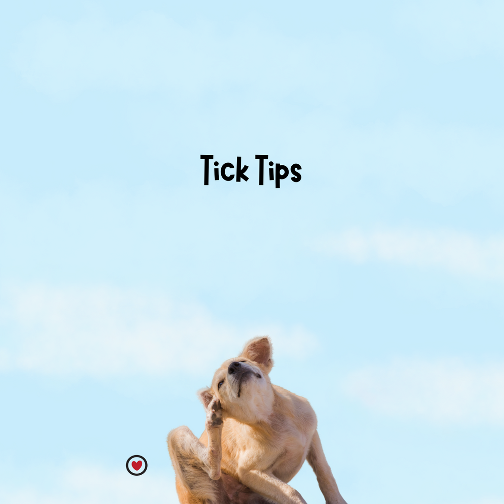 Tips for Ticks