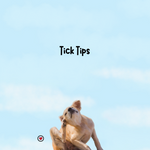 Tips for Ticks