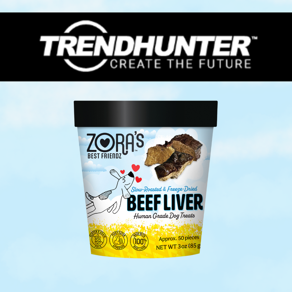 Trendhunter Feature